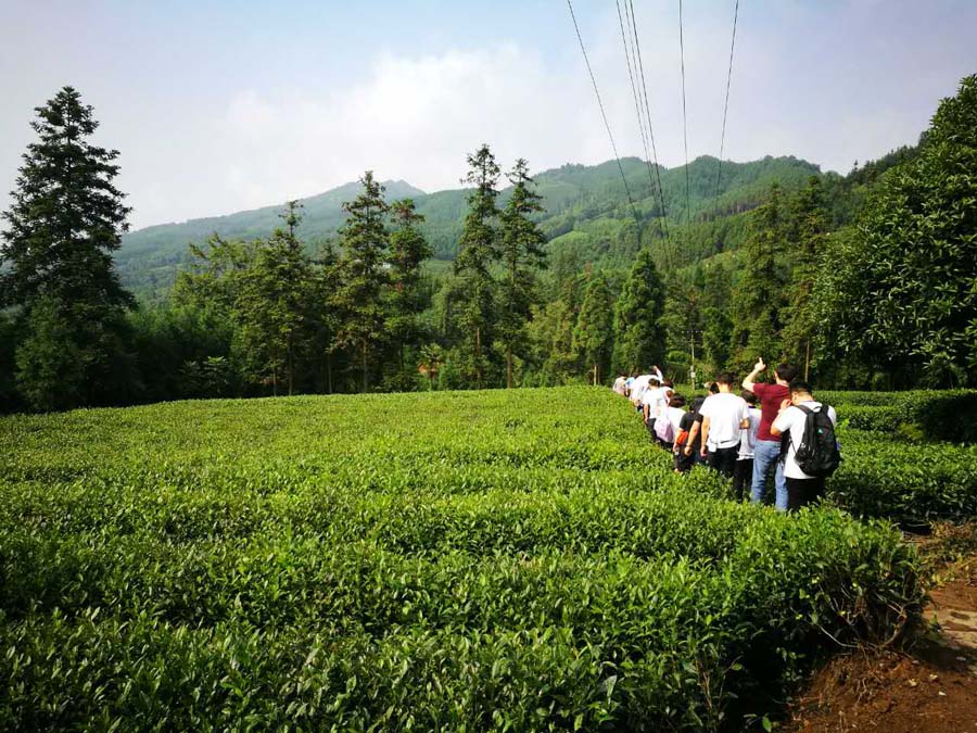 4008云顶集团游艺平台(中国)官方网站